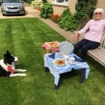 a lady and dog enjoy afternoon tea